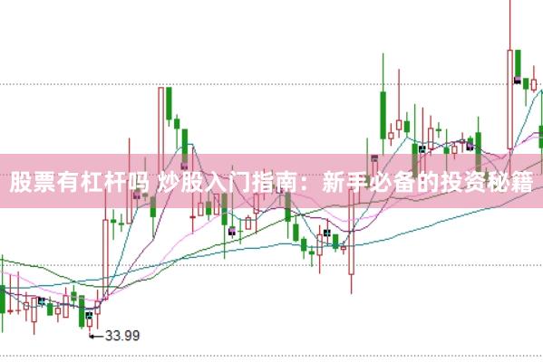股票有杠杆吗 炒股入门指南：新手必备的投资秘籍