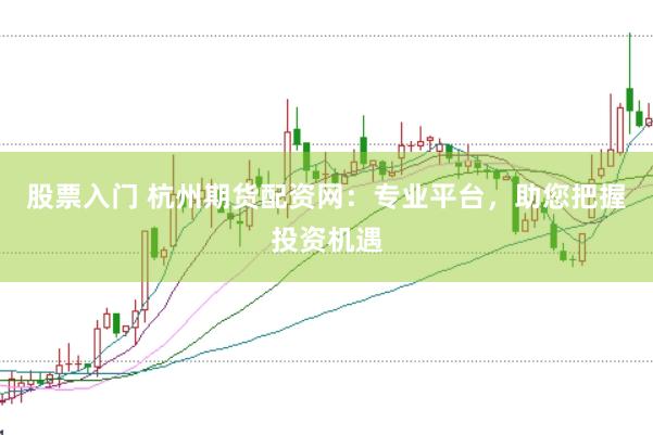 股票入门 杭州期货配资网：专业平台，助您把握投资机遇