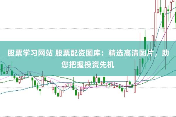 股票学习网站 股票配资图库：精选高清图片，助您把握投资先机