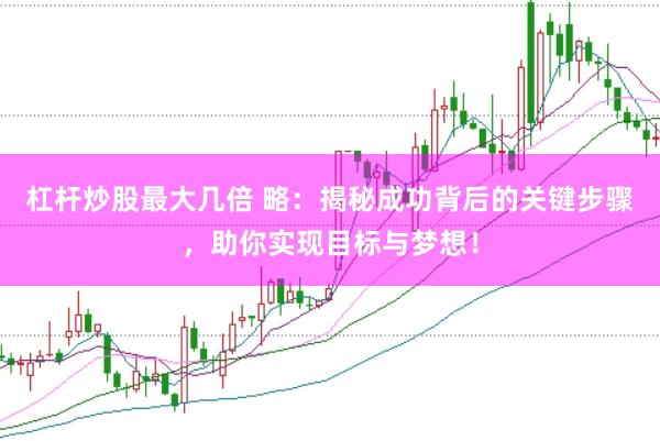 杠杆炒股最大几倍 略：揭秘成功背后的关键步骤，助你实现目标与梦想！