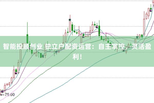 智能投顾创业 独立户配资运营：自主掌控，灵活盈利！