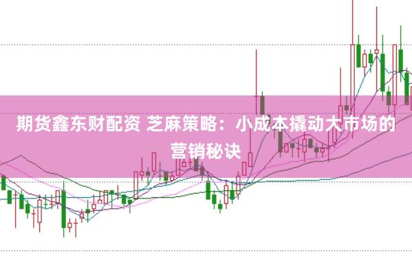 期货鑫东财配资 芝麻策略：小成本撬动大市场的营销秘诀