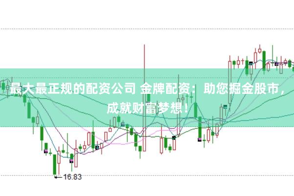 最大最正规的配资公司 金牌配资：助您掘金股市，成就财富梦想！