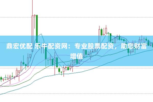 鼎宏优配 乐牛配资网：专业股票配资，助您财富增值