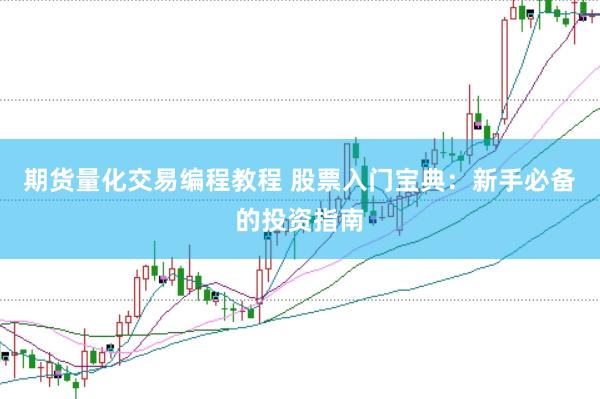 期货量化交易编程教程 股票入门宝典：新手必备的投资指南