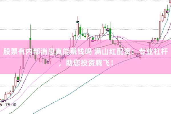 股票有内部消息真能赚钱吗 满山红配资：专业杠杆，助您投资腾飞！