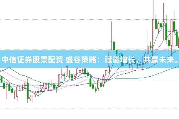 中信证券股票配资 盛谷策略:赋能增长,共赢未来。