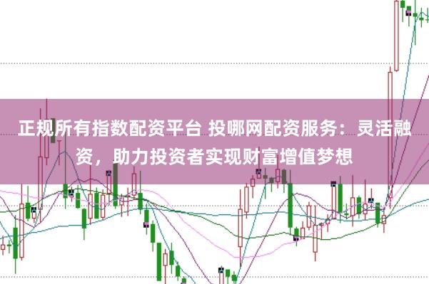 正规所有指数配资平台 投哪网配资服务:灵活融资,助力投资者实现财富增值梦想