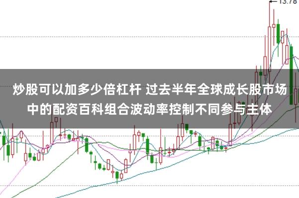 炒股可以加多少倍杠杆 过去半年全球成长股市场中的配资百科组合波动率控制不同参与主体