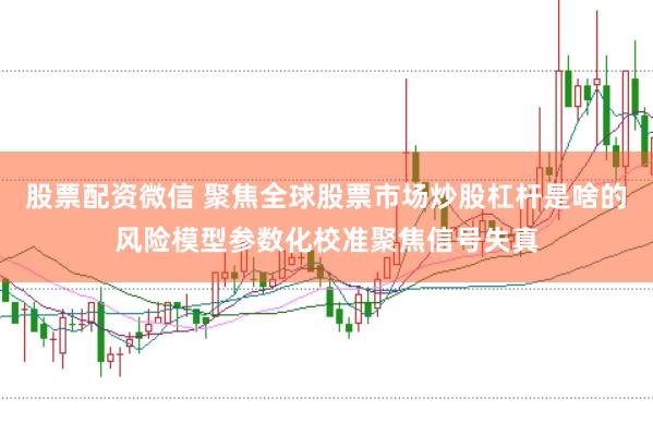 股票配资微信 聚焦全球股票市场炒股杠杆是啥的风险模型参数化校准聚焦信号失真