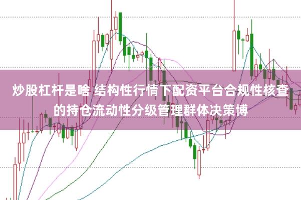 炒股杠杆是啥 结构性行情下配资平台合规性核查的持仓流动性分级管理群体决策博