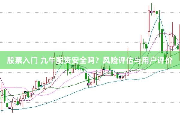 股票入门 九牛配资安全吗？风险评估与用户评价