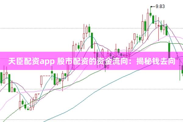 天臣配资app 股市配资的资金流向：揭秘钱去向