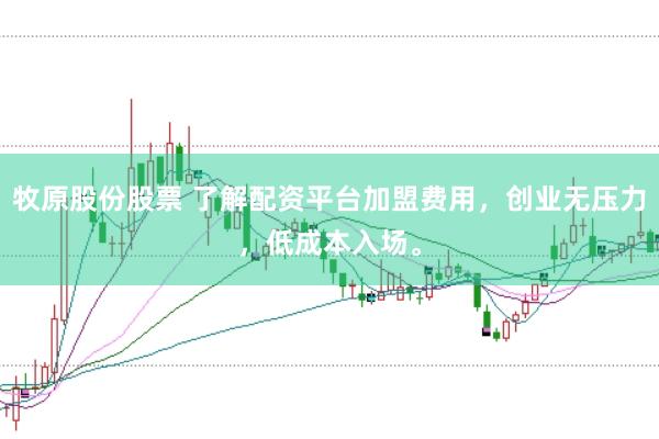 牧原股份股票 了解配资平台加盟费用，创业无压力，低成本入场。