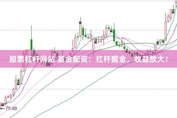 股票杠杆网站 基金配资:杠杆掘金,收益放大!
